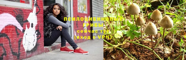 apvp Медногорск