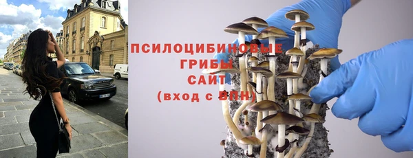 apvp Медногорск