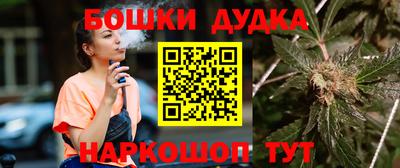 шишки Бийск