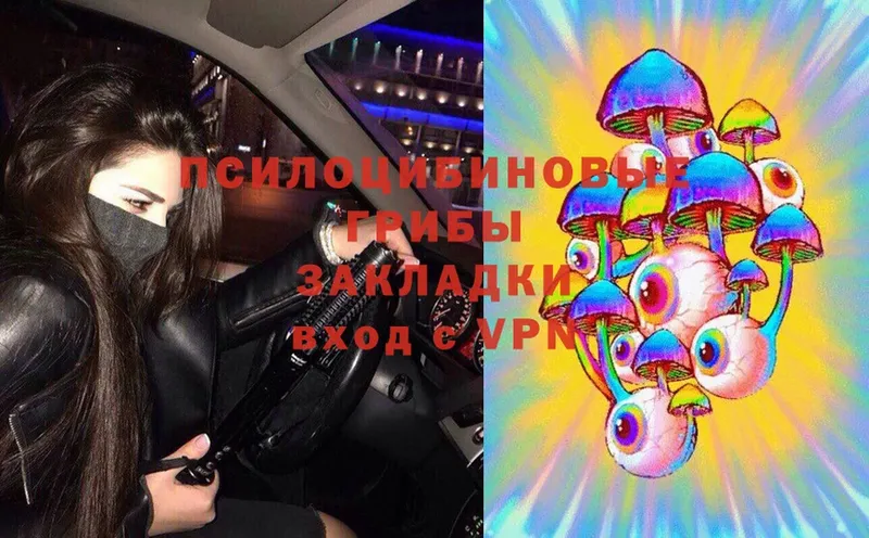 Галлюциногенные грибы MAGIC MUSHROOMS  где продают   Калач-на-Дону 