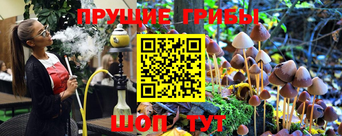 Калач-на-Дону  Галлюциногенные грибы мицелий  Вход с VPN 