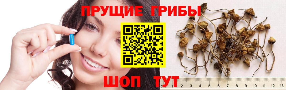 Псилоцибиновые грибы мицелий Калач-на-Дону
